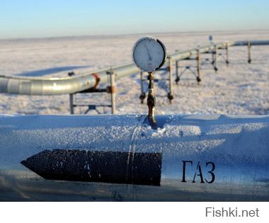 Украина-Ужгород, ценники и ДТ..