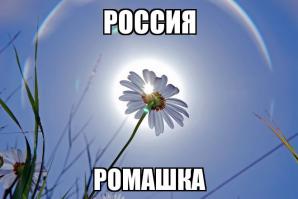 Символы стран в животных