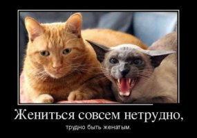 Фотоподборка за 30.03.2015