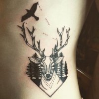 люди, помогите найти волка пожалуйста