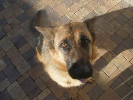 Было такое, стало такое.