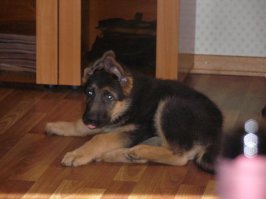 Было такое, стало такое.