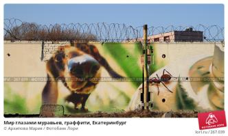 А вот Тюмень и ЕКБ