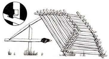 Вот что то типа этого, можно использовать деревянный ящик, потом нужно будет вызвать ветеринаров, самому не в коем случае не лезть и не прикасаться к лисе.