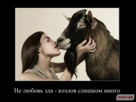 Межвидовой барьер дружбе не помеха