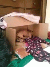 Я бы тоже разозлился