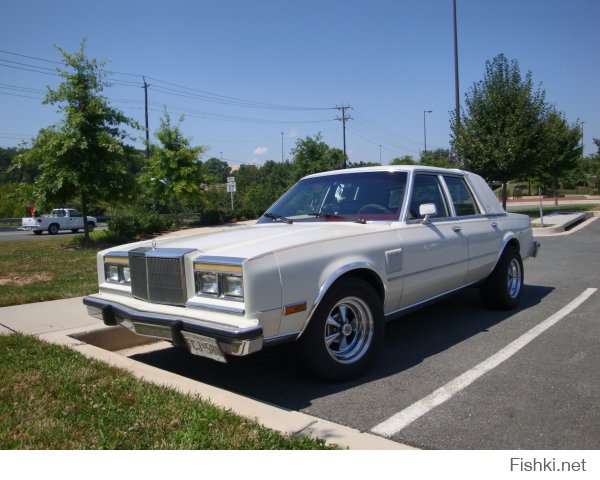 Небольшая часть моих фото, за время пребывания в США