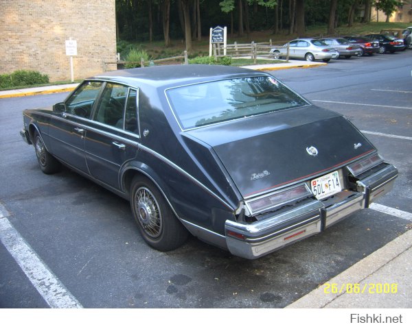 Небольшая часть моих фото, за время пребывания в США