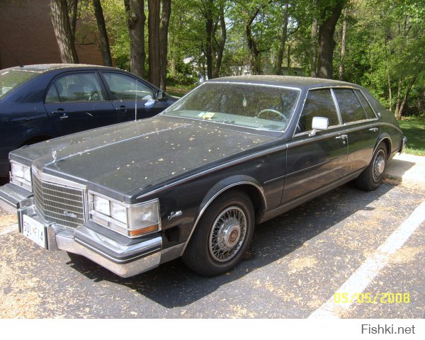 Небольшая часть моих фото, за время пребывания в США