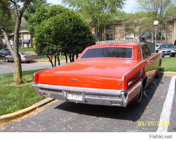 Небольшая часть моих фото, за время пребывания в США