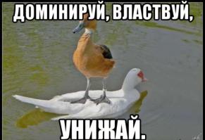 Фишкина солянка за 21.10.2014