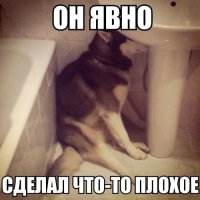 Животные, пойманные на месте преступления 