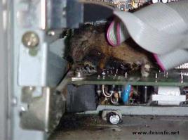 А этот умным хотел стать....