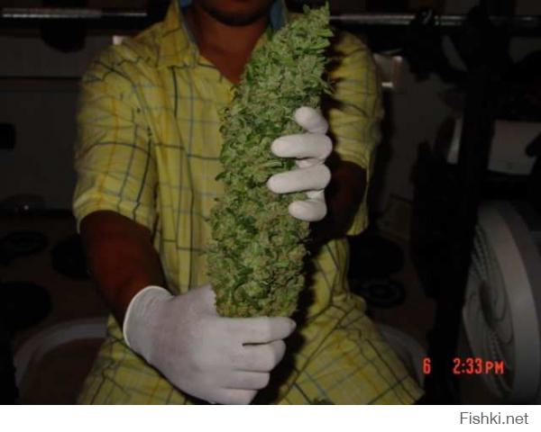 Отведай и всё поймёшь ))))))))