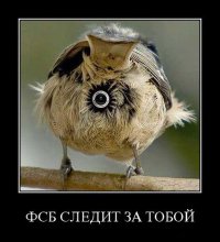 Солянка для Майдана. Часть 70