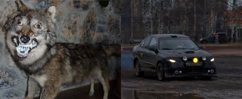 Тот самый ниссан вульф )))