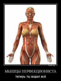 11 фото, которые вызовут восторг у перфекционистов