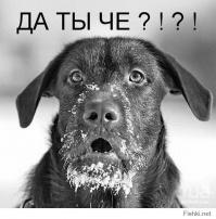 Рыба, которая ест крокодилов