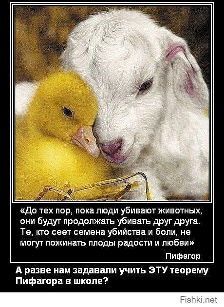 Какой еды не хватает русским за границей  