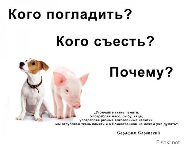 Какой еды не хватает русским за границей  