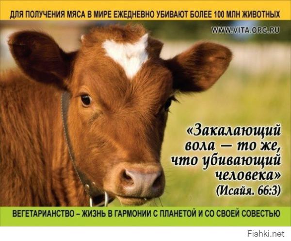 Какой еды не хватает русским за границей  