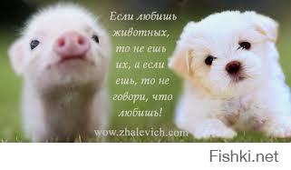 Какой еды не хватает русским за границей  