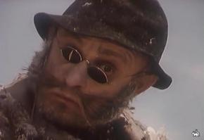  Манул из Новосибирского зоопарка