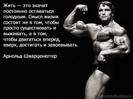 Забавные и компрометирующие фото юного Шварценеггера