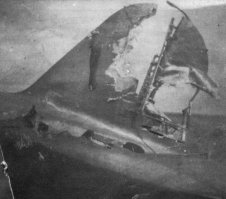 ну и ил-2 ещё добавлю, это фото одного самолёта, судя по фото вернулся и без хвоста, и без крыльев