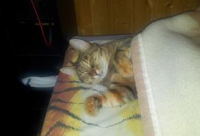 Спасибо за карму :) Как и обещал - моя любимица