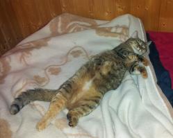 Спасибо за карму :) Как и обещал - моя любимица