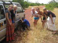 Похоже на рекламу - Негр в Аренду на время Сафари))