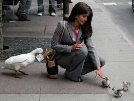 Семейный подряд