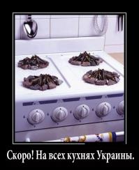 Демотиваторы про Укро-ину 4