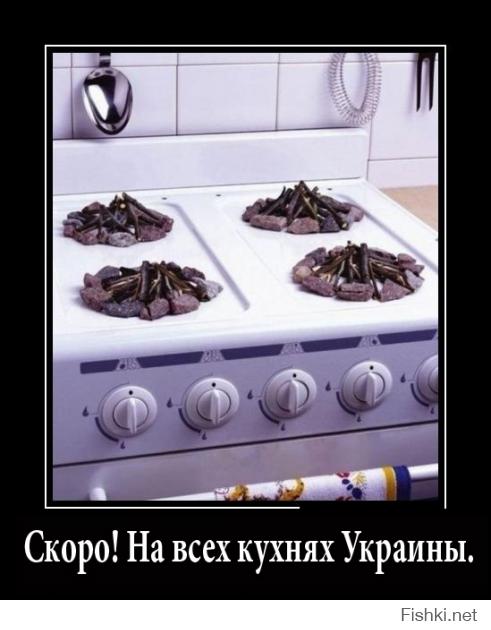 Демотиваторы про Укро-ину 4