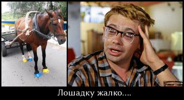 Демотиваторы про Укро-ину 4