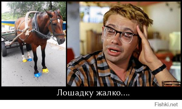 Демотиваторы про Укро-ину 4