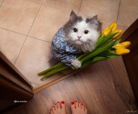 Поздравление с 8 Марта