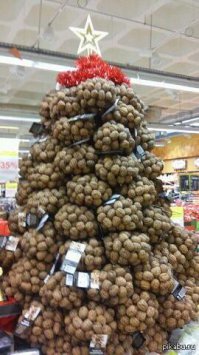 “TomTato”: гибрид картофеля и помидора