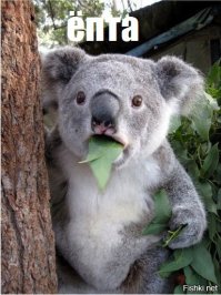 Кулинарные неудачи