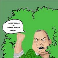 Кошка,фото 23 удали нaxpeн!Хероев фашистов-свидомитов тут ещё не хватало...