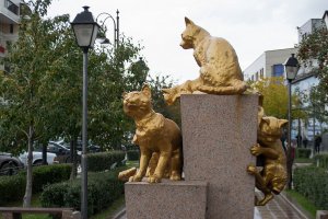 В память про сибирских кошек, которые спасли от крыс Эрмитаж,памятник в Тюмени.