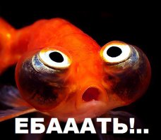 Рыба - кусачки