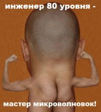 Мастер микроволновки