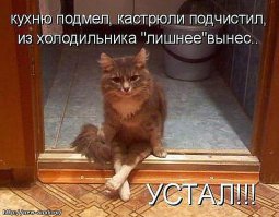  Замечательные фотографии, которые вызывают улыбку и восторг