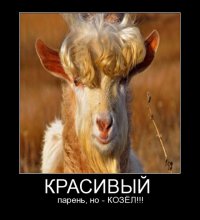  Замечательные фотографии, которые вызывают улыбку и восторг