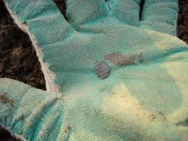 Я тебя правильно понял?