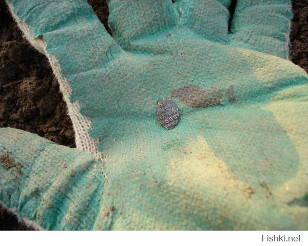 Я тебя правильно понял?