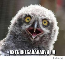 ОМОН захват молодоженов