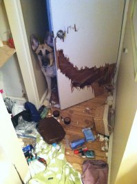 Вы еще не видели, что вам Мурзик приготовил...;)